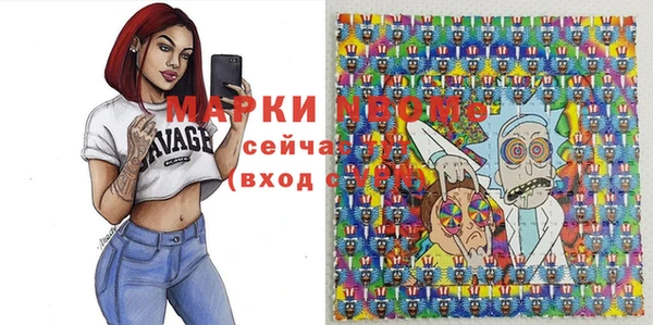ГАЛЛЮЦИНОГЕННЫЕ ГРИБЫ Бородино