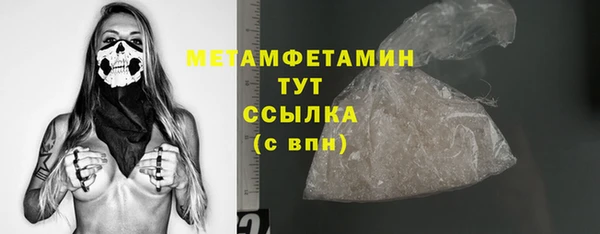ГАЛЛЮЦИНОГЕННЫЕ ГРИБЫ Бородино