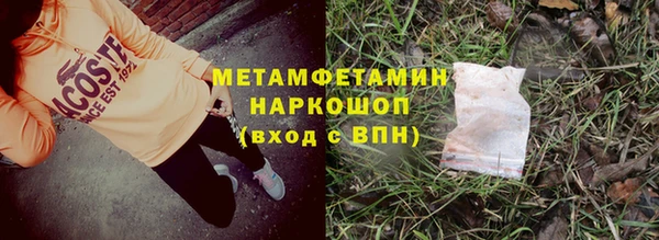 ГАЛЛЮЦИНОГЕННЫЕ ГРИБЫ Бородино