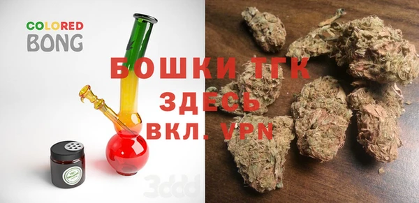 ГАЛЛЮЦИНОГЕННЫЕ ГРИБЫ Бородино